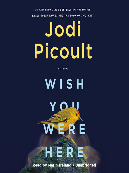 Nimiön Wish You Were Here lisätiedot, tekijä Jodi Picoult - Odotuslista